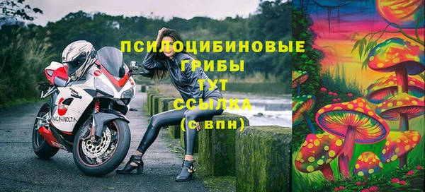 соль ск Бугульма