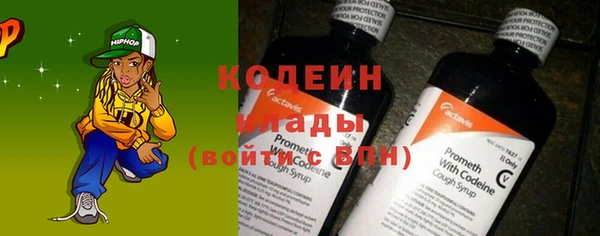 твердый Бородино