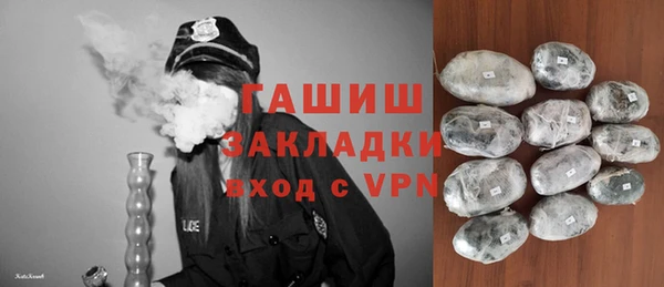 твердый Бородино