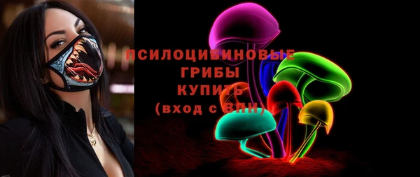 твердый Бородино