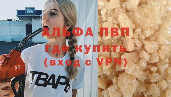 твердый Бородино