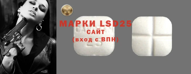 твердый Бородино