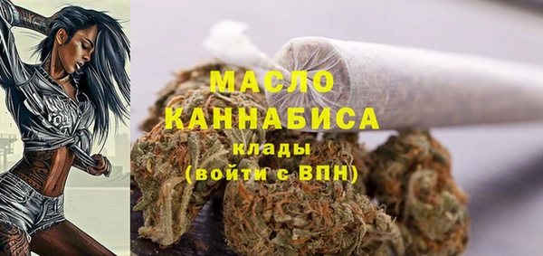 твердый Бородино