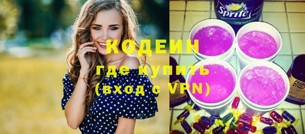 твердый Бородино