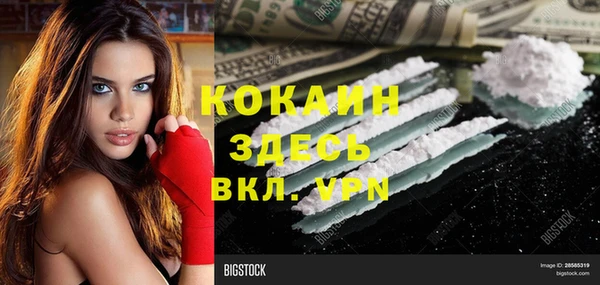 твердый Бородино