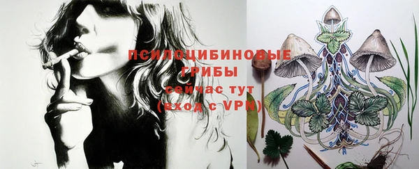 твердый Бородино