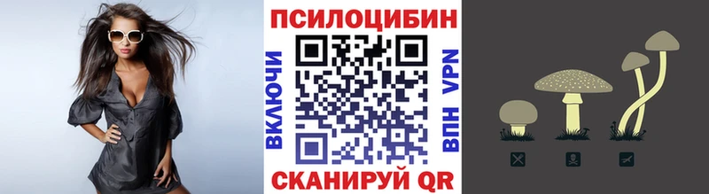 Псилоцибиновые грибы мухоморы  Купить  Дзержинский 